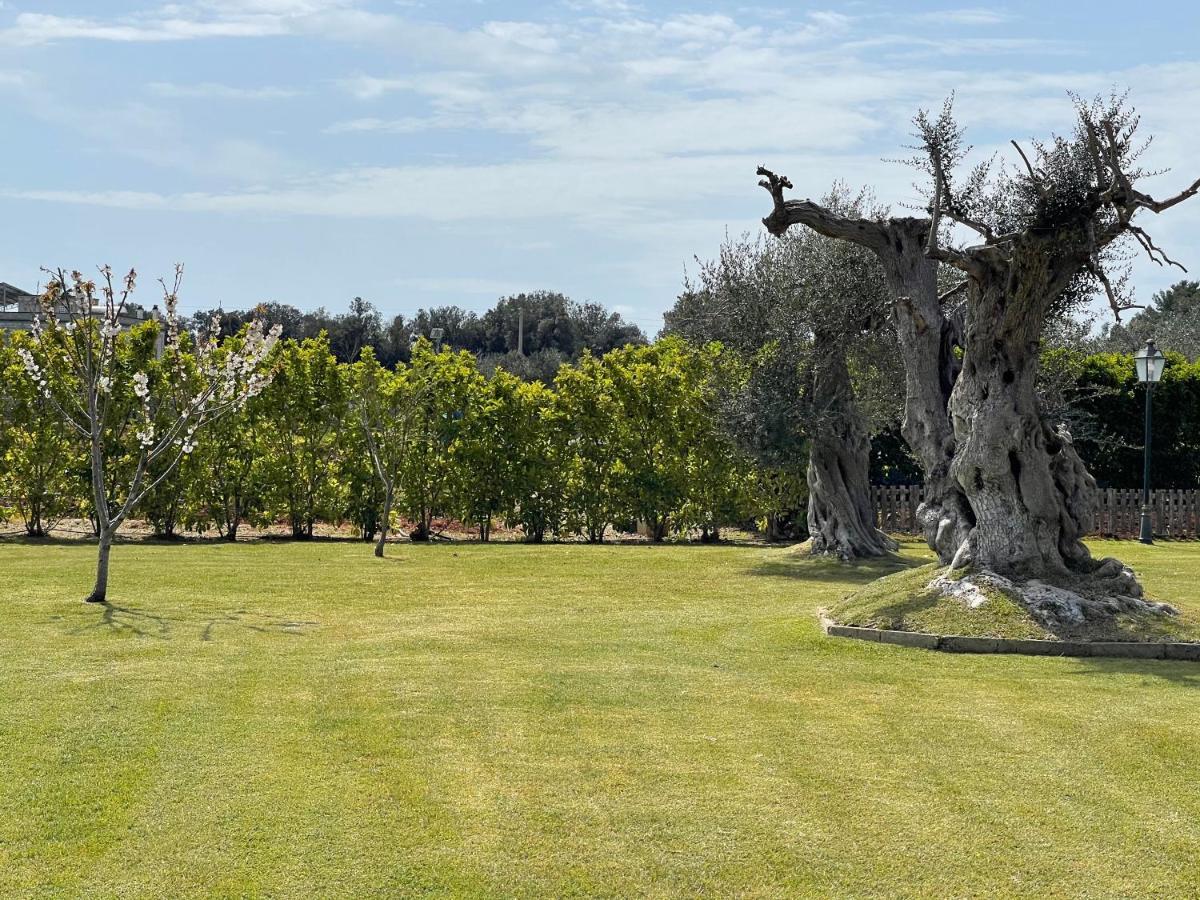 Masseria Giamarra Карпиняно Салентино Екстериор снимка
