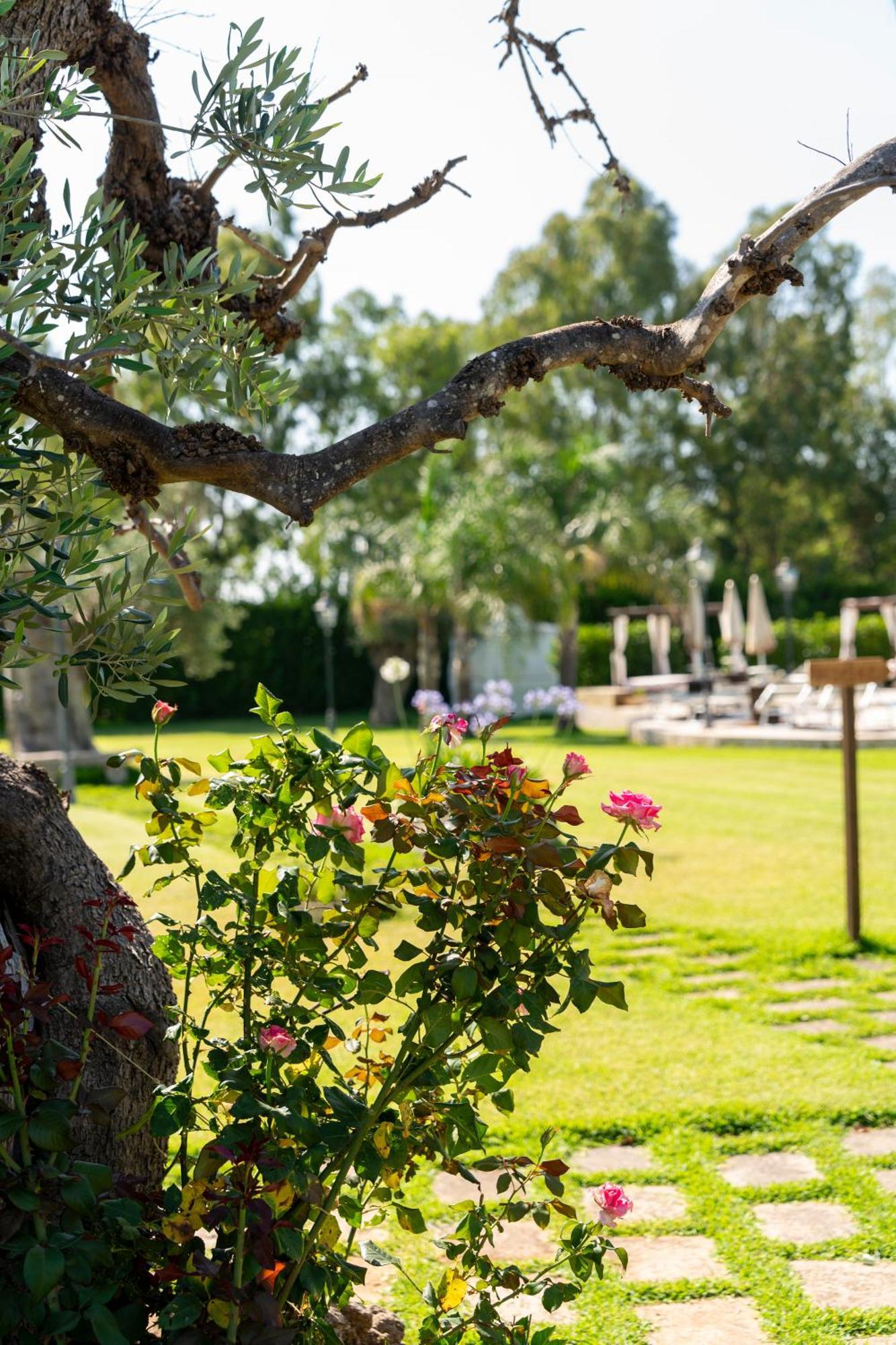 Masseria Giamarra Карпиняно Салентино Екстериор снимка
